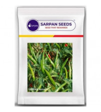 Chilli / Hot Pepper Sarpan Avinash -10 grams